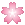 cherry blossom icon